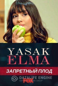 Запретный плод все серии (Турция, 2018) смотреть онлайн турецкий сериал на русском языке